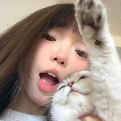 美国派:高潮再起封面